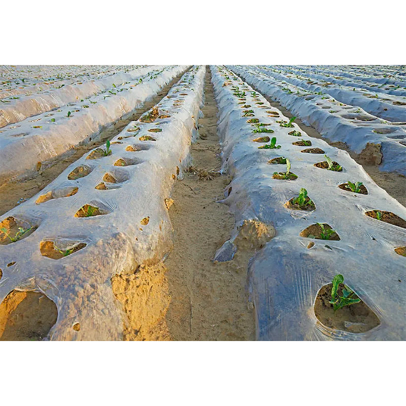 Agriculturam plastic amet